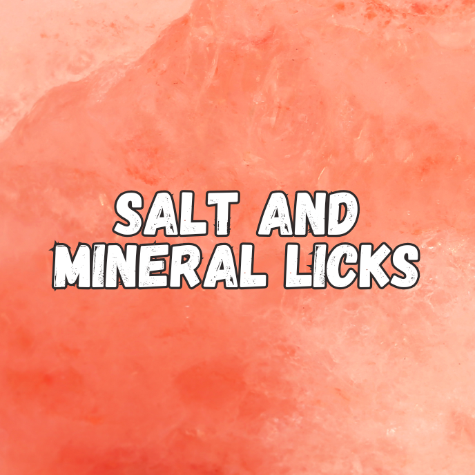 Salt and Mineral Licks