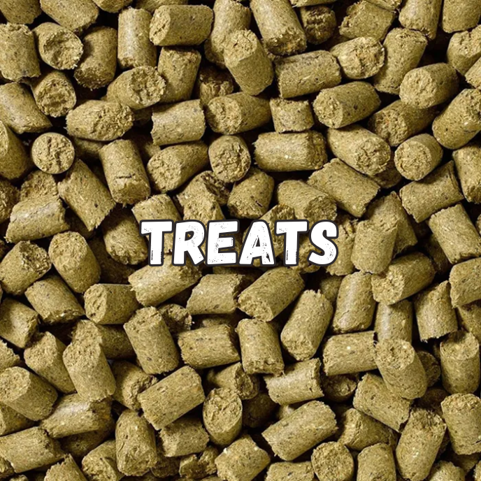 Horse Treats