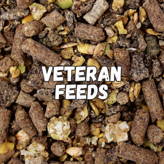 Veteran Feeds