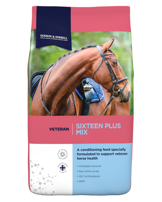 Dodson & Horrell Sixteen Plus Mix