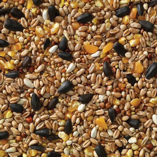 Wheat Free Wild Bird Seed