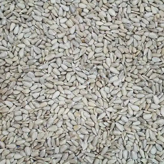 Sunflower Hearts