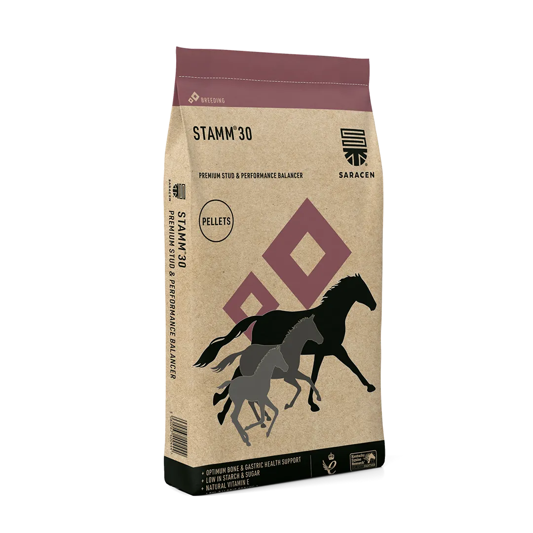 Saracen STAMM 30® Balancer