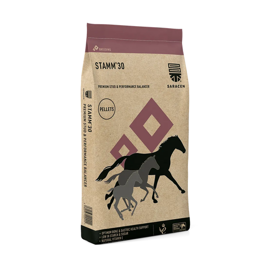 Saracen STAMM 30® Balancer