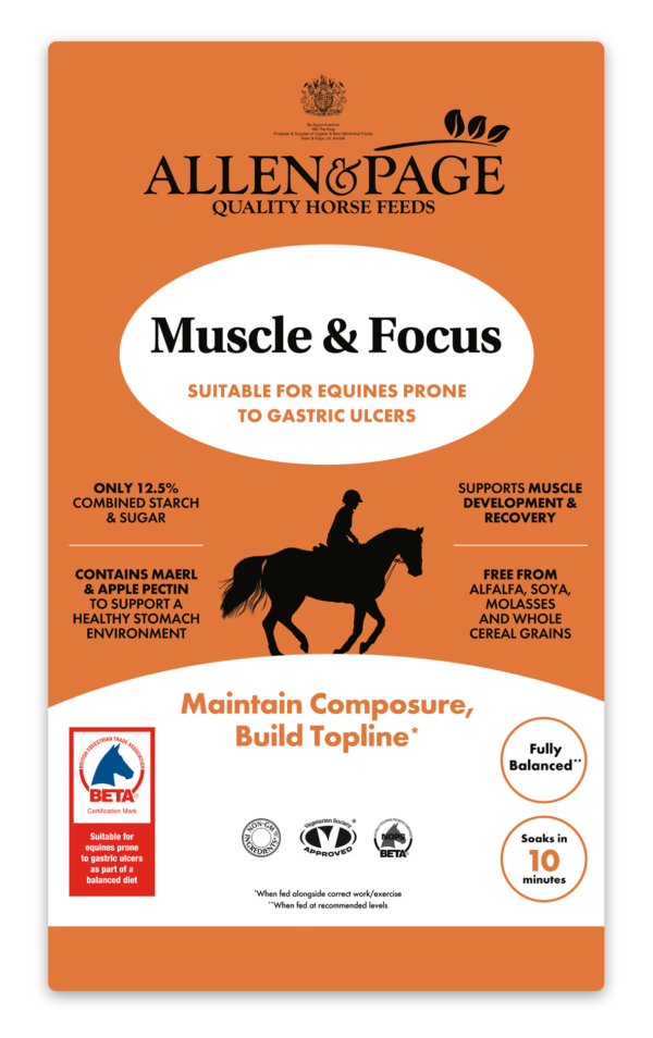 Allen & Page Muscle & Focus