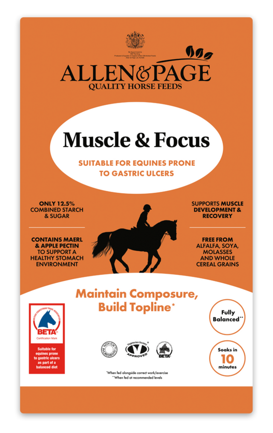 Allen & Page Muscle & Focus