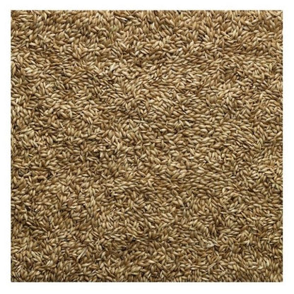 Bucktons canary Seed