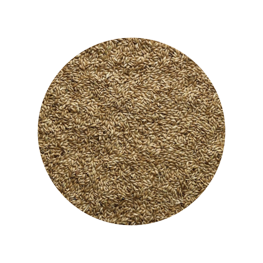 Bucktons Plain Canary Seed 20kg