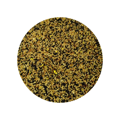 Bucktons No1 Mixed Canary Seed