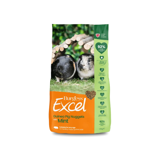 Burgess Excel Tasty Nuggets with Mint for Guinea Pigs