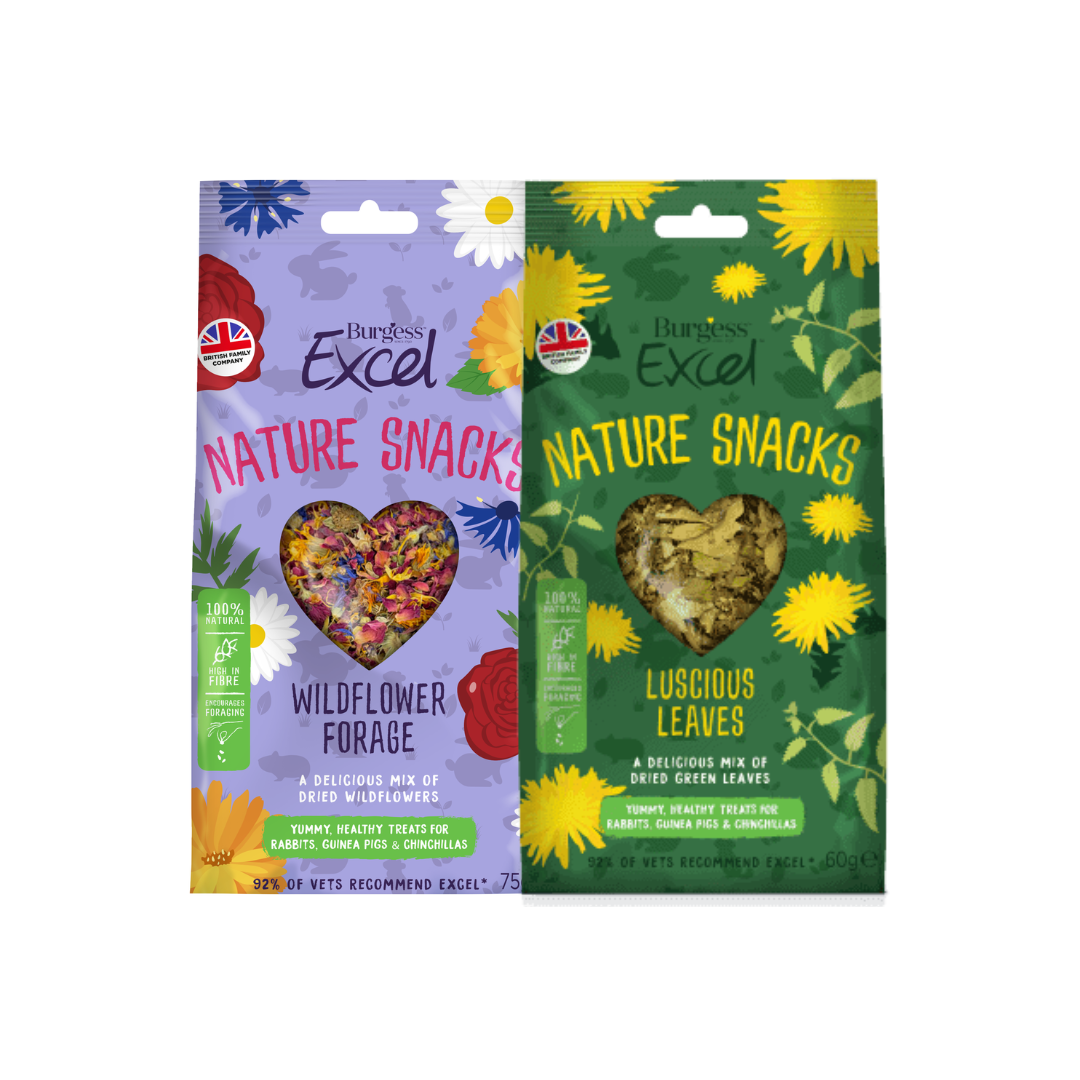 Burgess Excel Nature Snacks