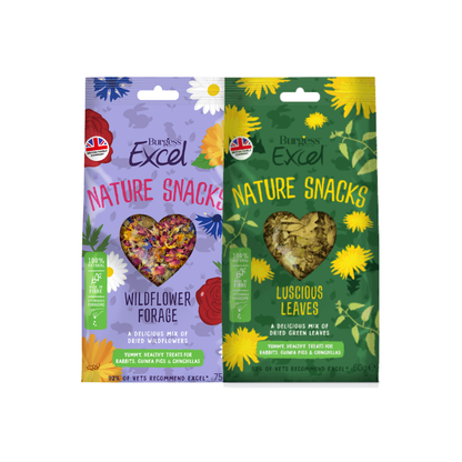 Burgess Excel Nature Snacks