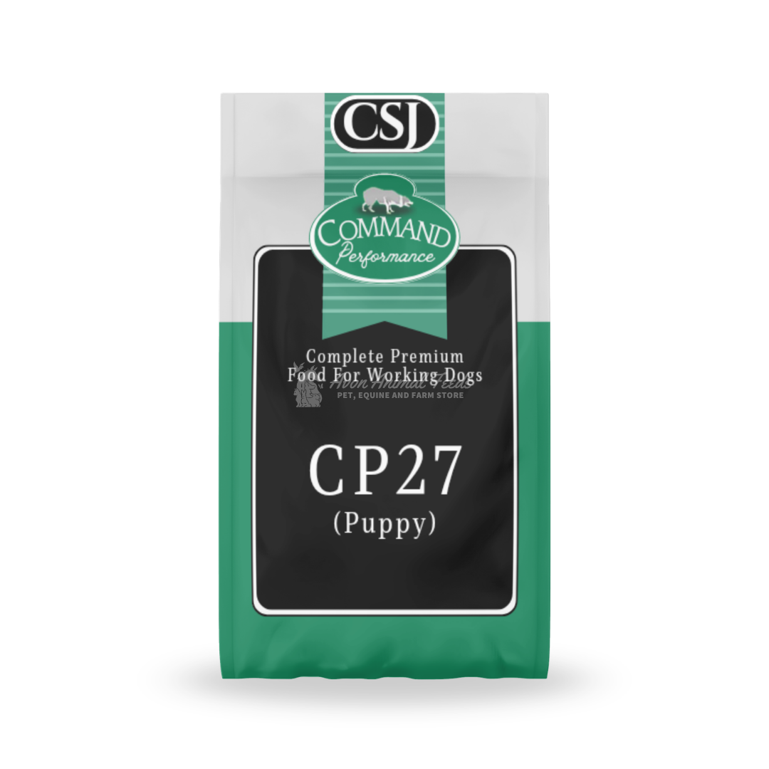 CSJ CP27 (Puppy)