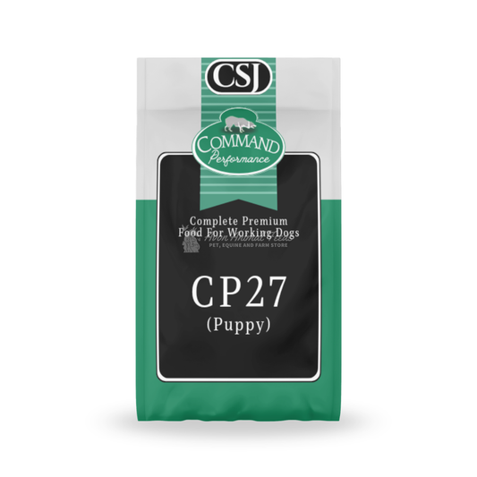 CSJ CP27 (Puppy)