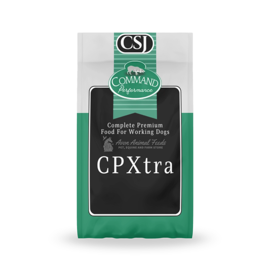 CSJ CP Xtra