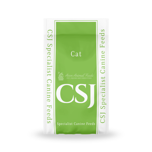 CSJ Cat
