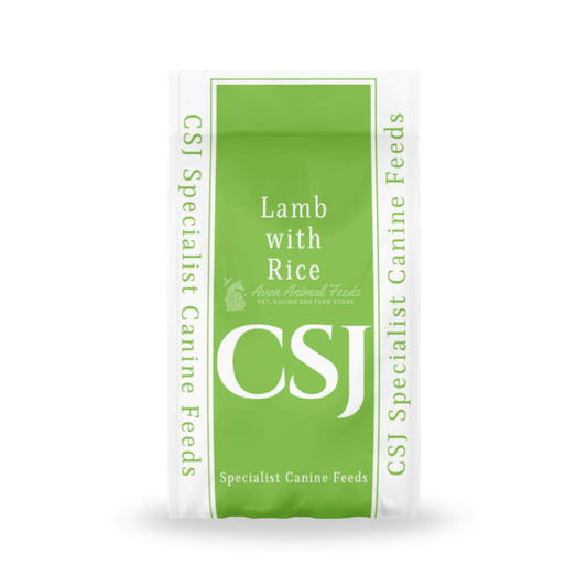 CSJ Lamb with Rice