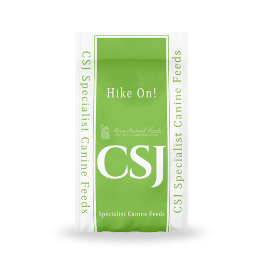 CSJ Hike On!