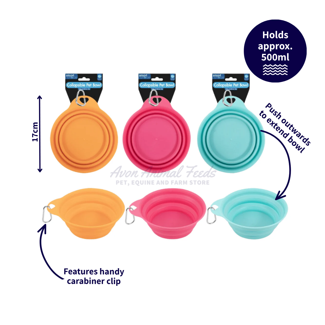 Smart Choice Collapsible Pet Bowl