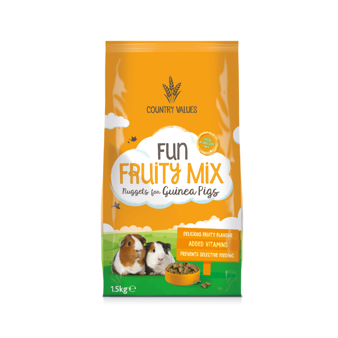 Country Value Fun Fruity Mix Nuggets for Guinea Pigs