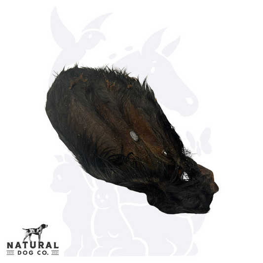 Cows Ear with Fur