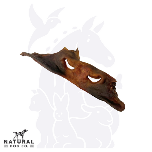 Cow Nose