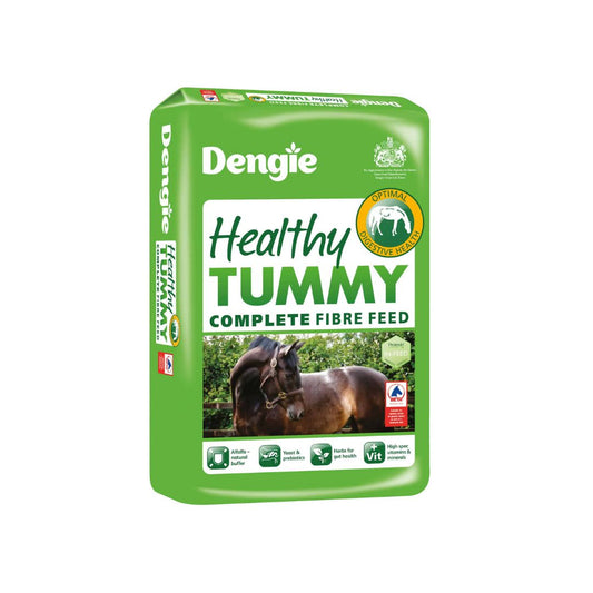 Dengie Healthy Tummy