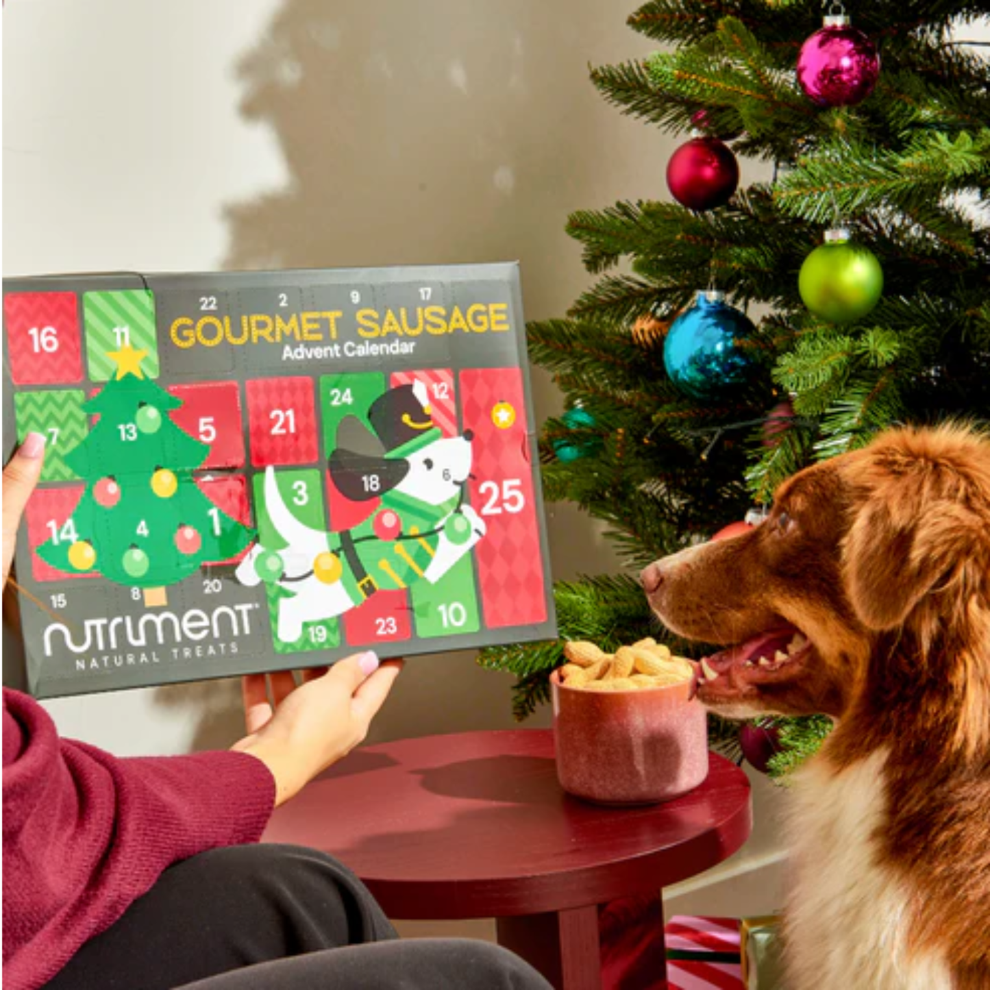 Gourmet Advent Calendar for Dogs