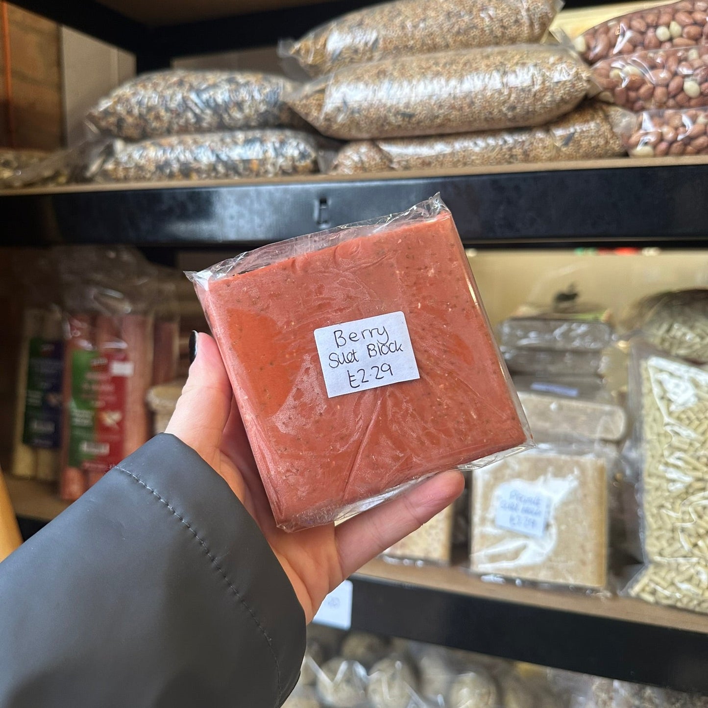 Suet Block and Feeder Bundle