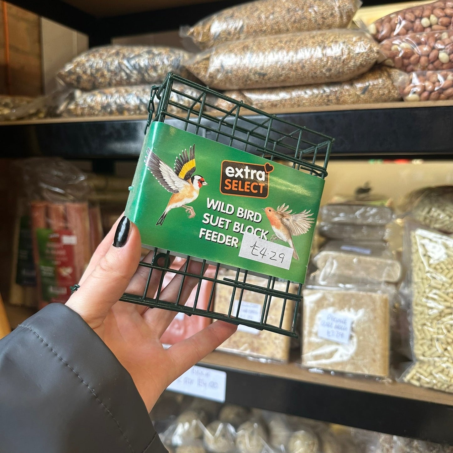 Suet Block and Feeder Bundle