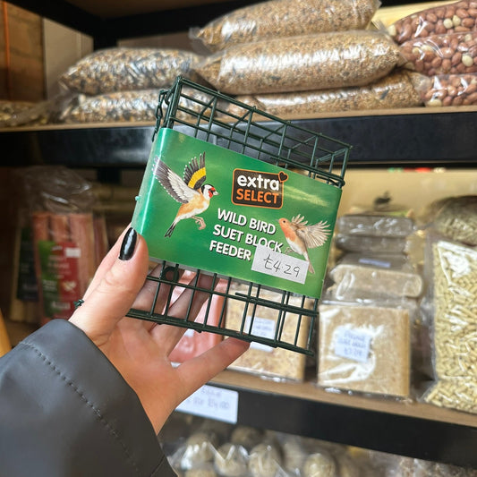 Suet Block and Feeder Bundle