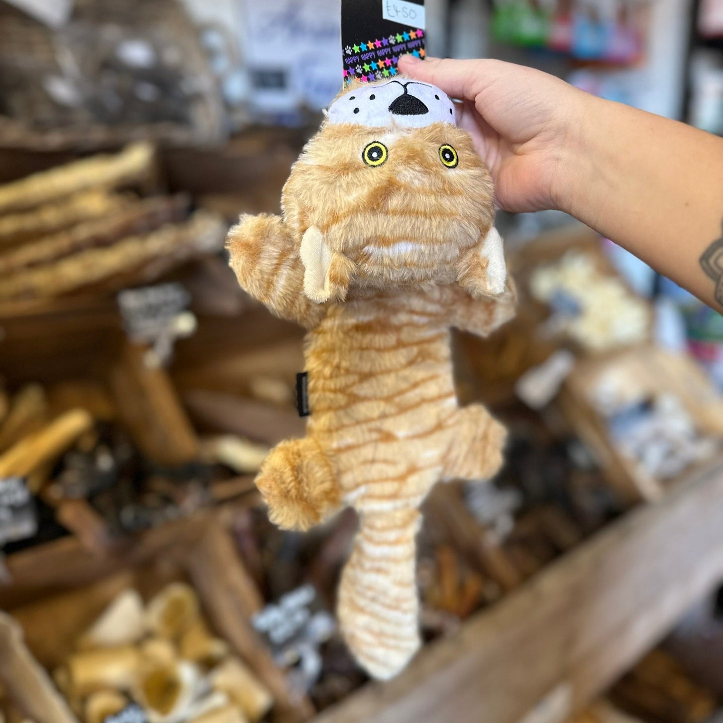 Flat Cat Toy