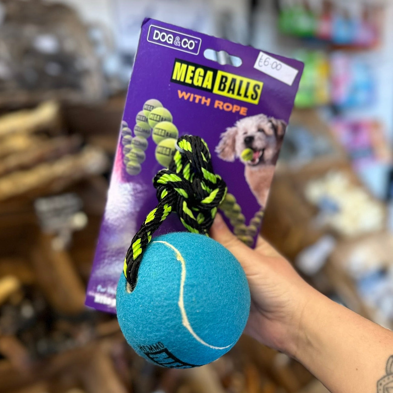 MEGABALLS with rope toy