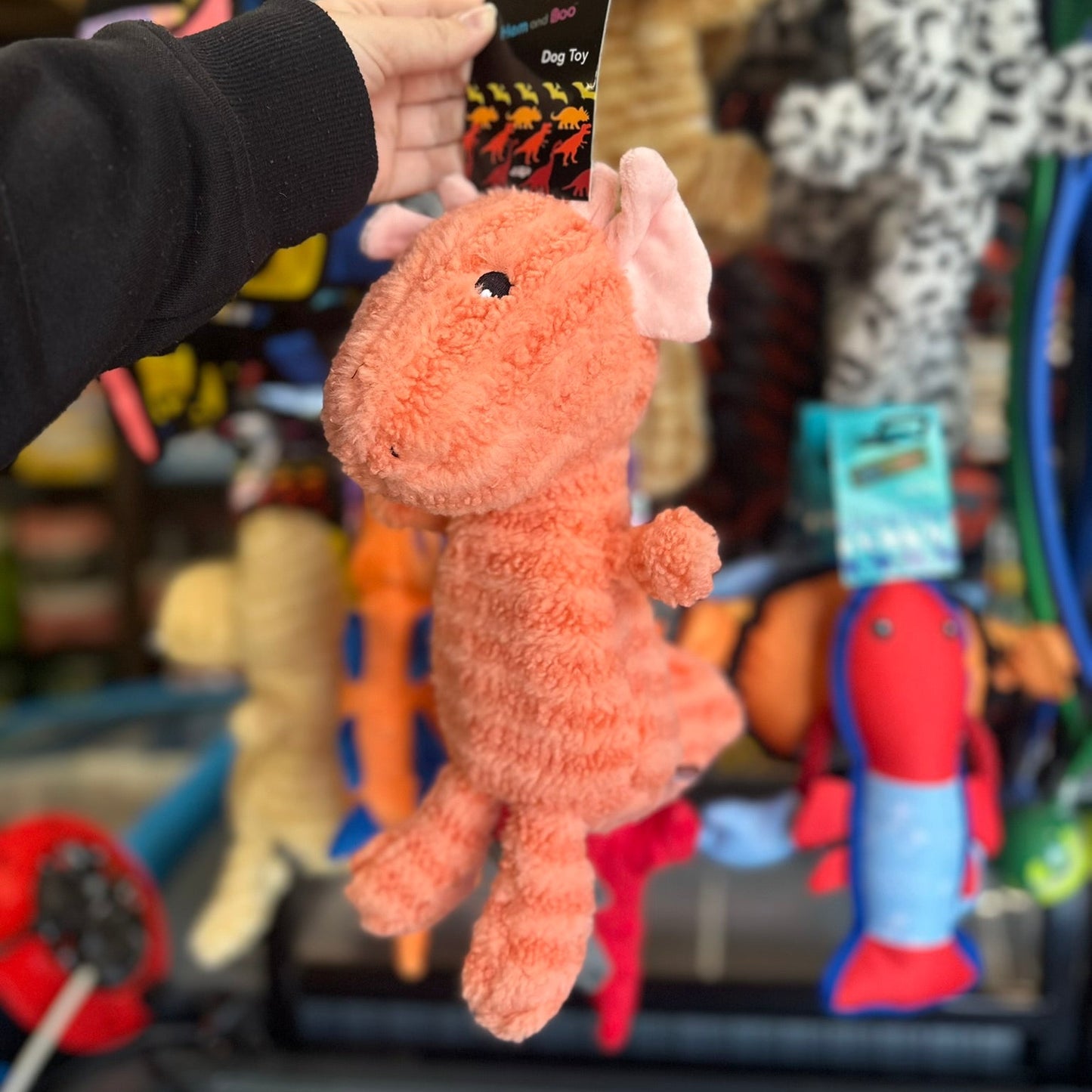 Hem & Boo Dinosaur Squeaky Toy