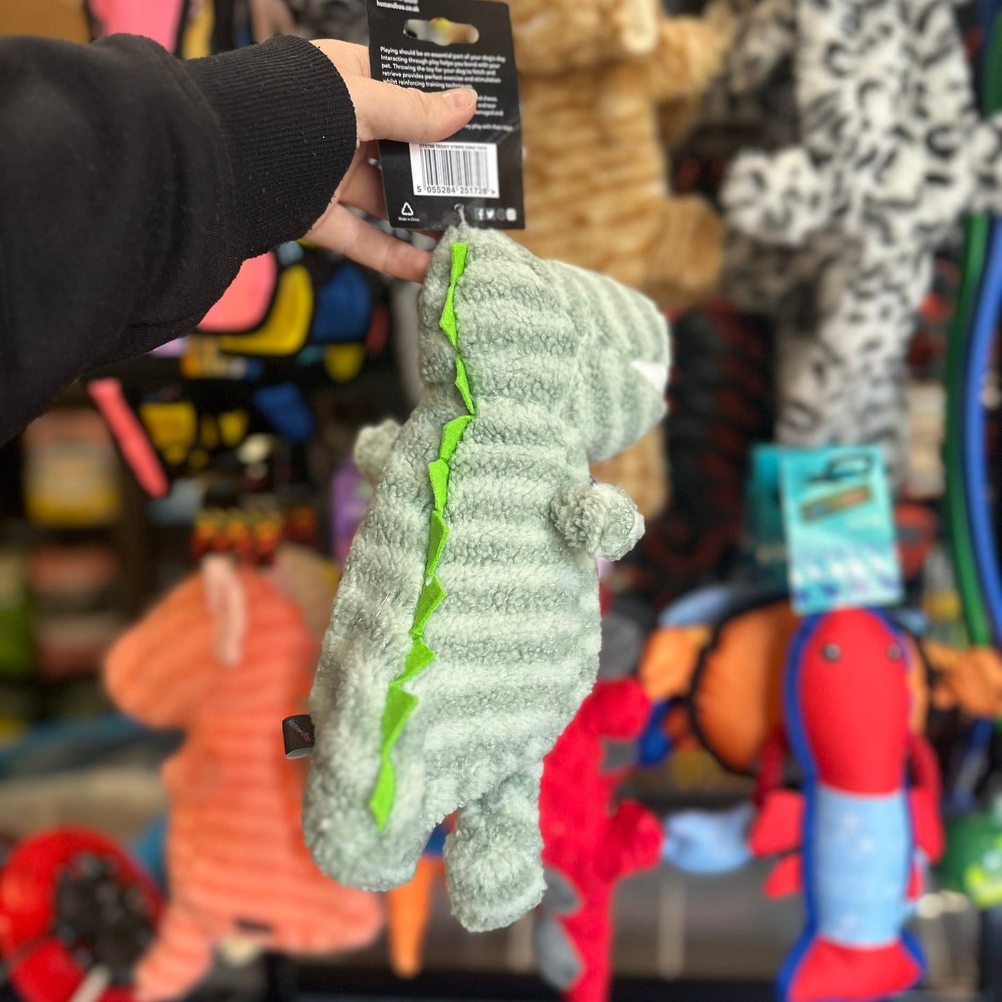 Hem & Boo Dinosaur Squeaky Toy