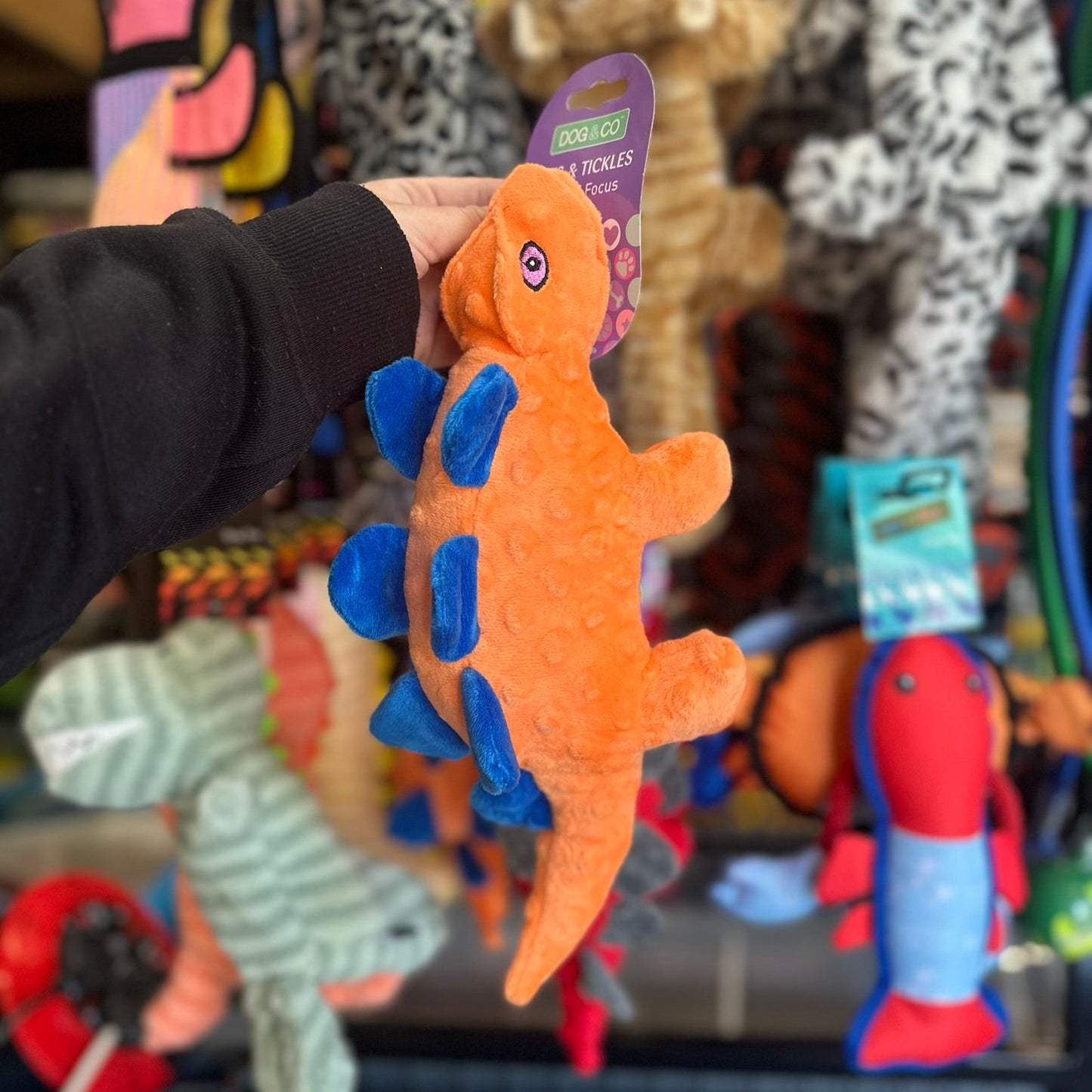 Hem & Boo Stegosaurus Dog Toy