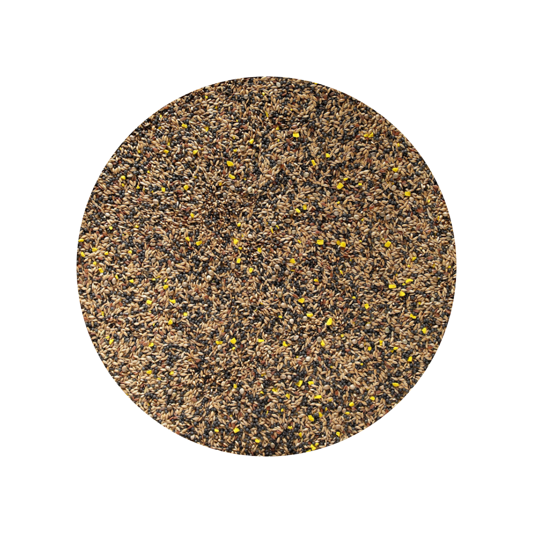 Johnston & Jeff Canary Seed 2kg