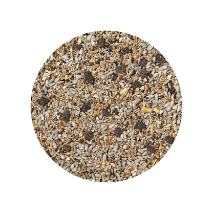 Johnston & Jeff Superior Wild Bird Food - With Fruit