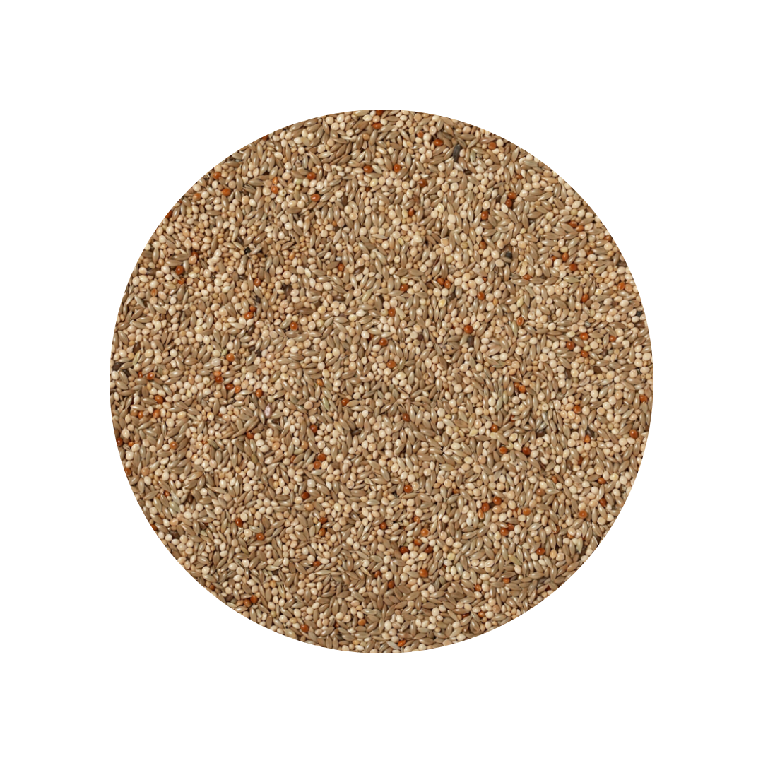 Johnston & Jeff Budgerigar Seed 2kg