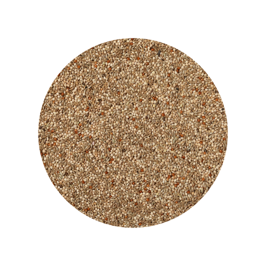 Johnston & Jeff Budgerigar Seed 2kg