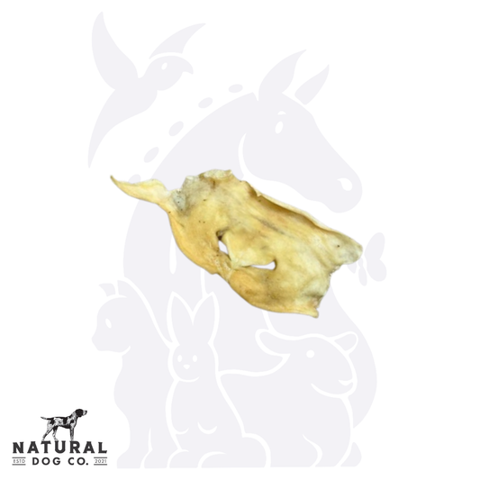 Lamb Nose