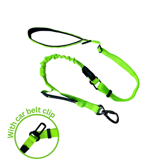Adjustable Bungee Dog Lead - 120cm to 150cm