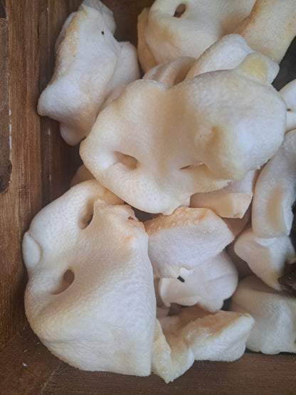 Puffed Pig Snout