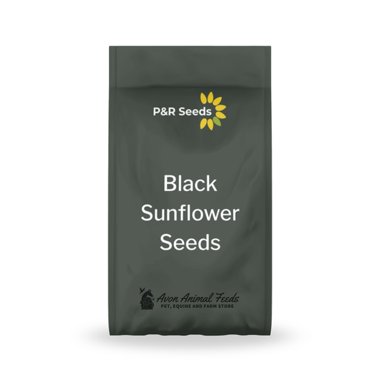 P&R Black Sunflower Seeds