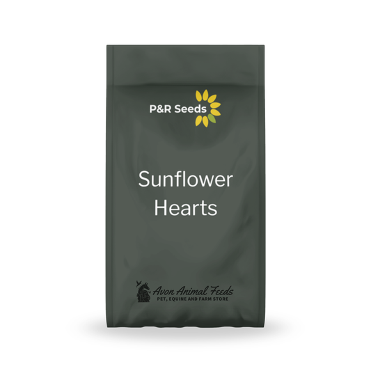 P&R Sunflower Hearts