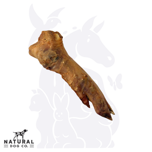Pig Trotter