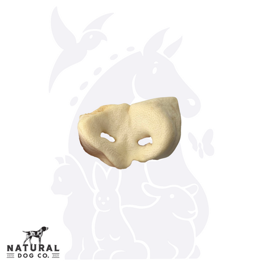 Puffed Pig Snout