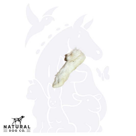 Rabbit Feet