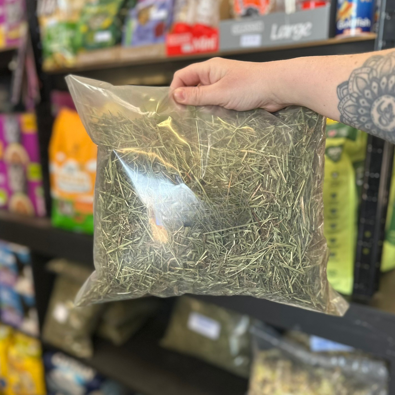 ReadiGrass