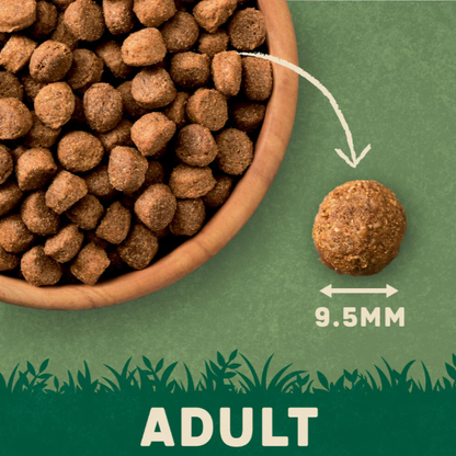 Harringtons Dry Food for Adult Dogs